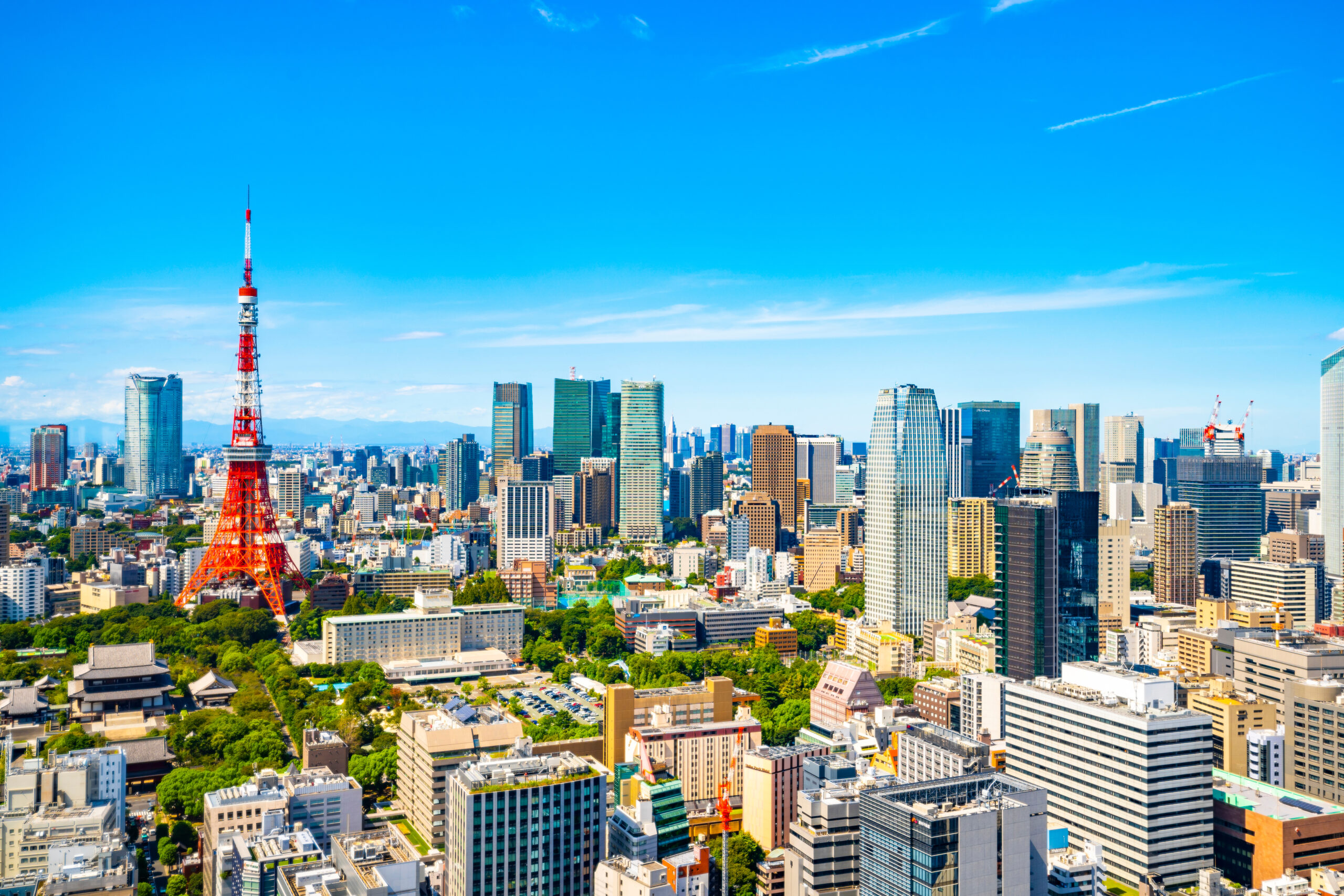 Your Trusted Gateway
to the Japanese Automotive Market